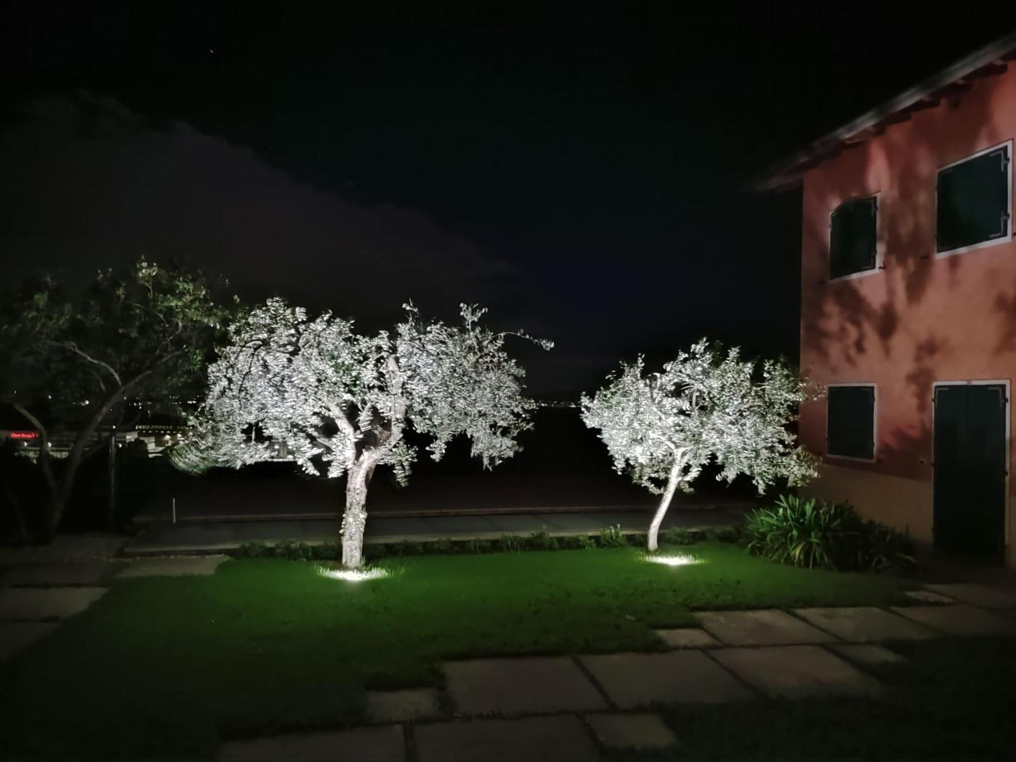 Nice Apartments Lake View & Free Parking Pastrengo Exterior foto